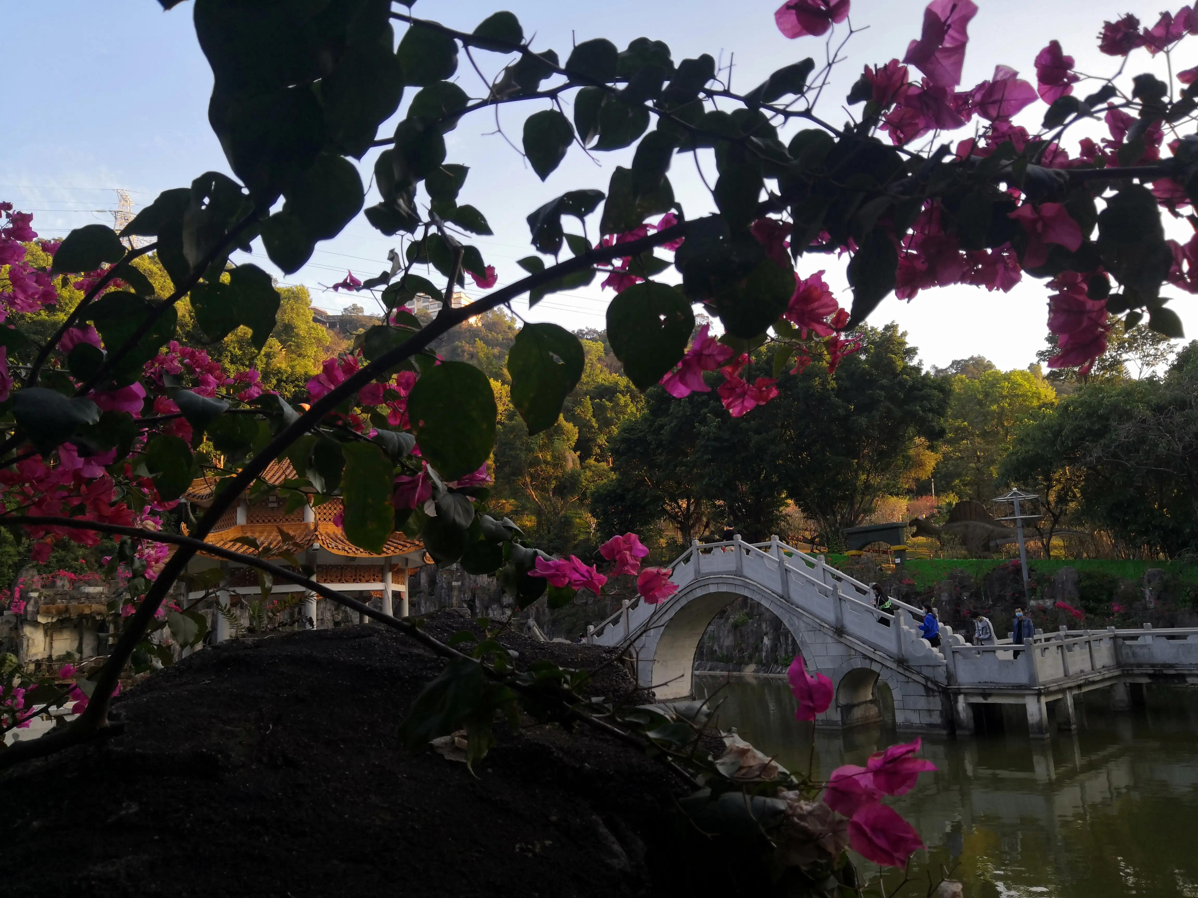 求水山公园,求水山公园游乐场