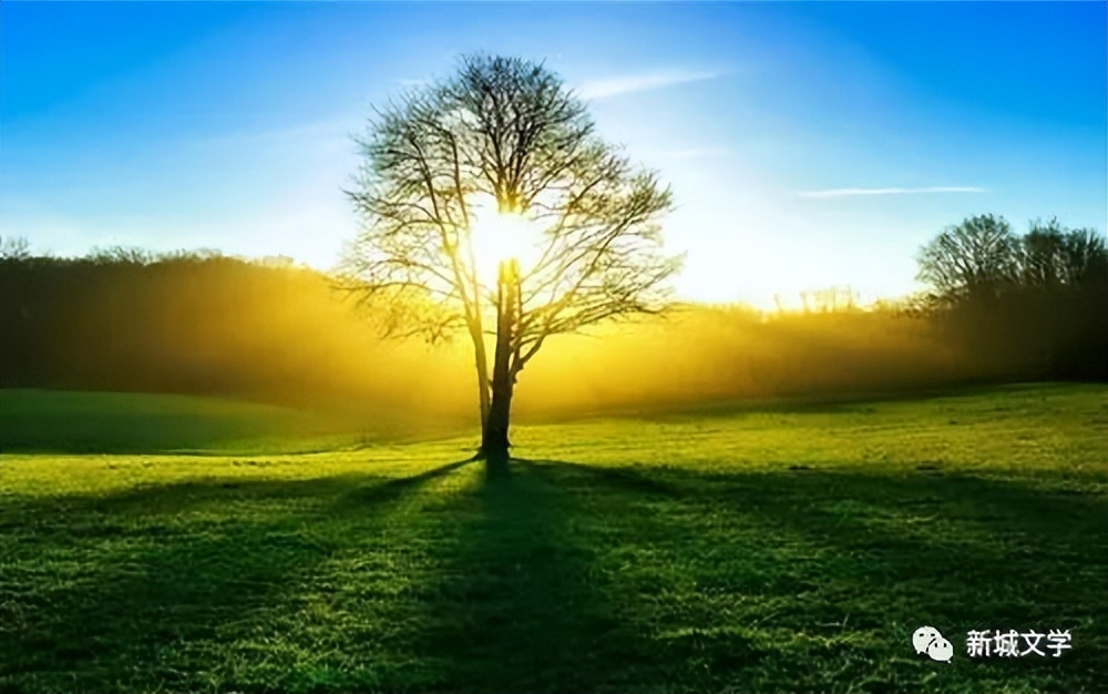 人生只有前进没有后退,人生只有今世没有来世