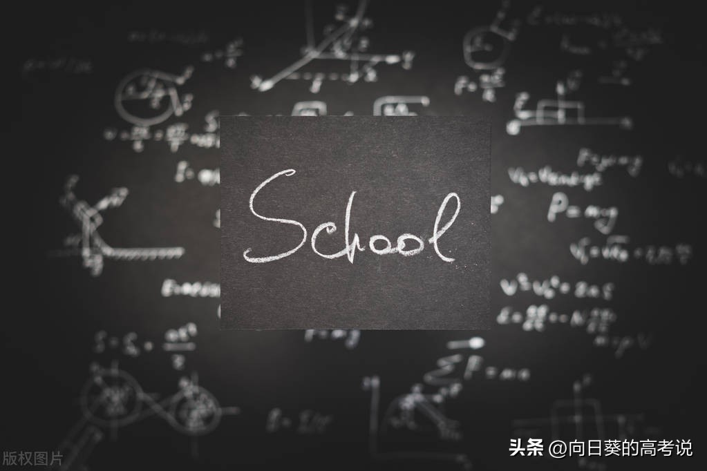 一级学科与专业大类有什么区别,学的专业是一级学科还是二级学科