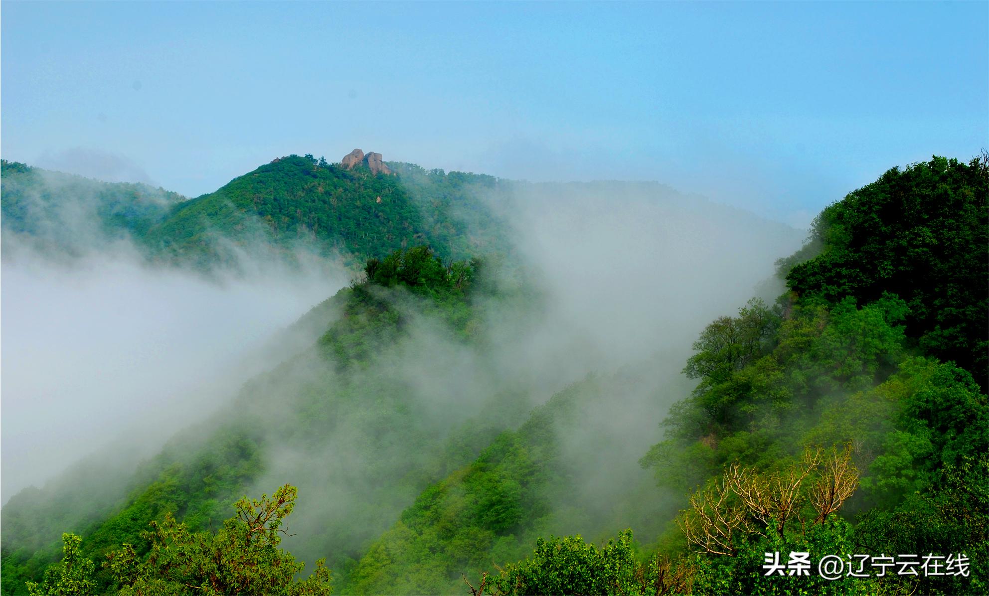 抚顺首届马拉松路径,抚顺县乡村马拉松多少公里