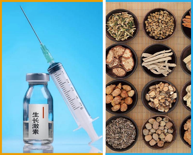 什么生长激素可以快速长高,生长激素部分缺乏中医能调理好吗