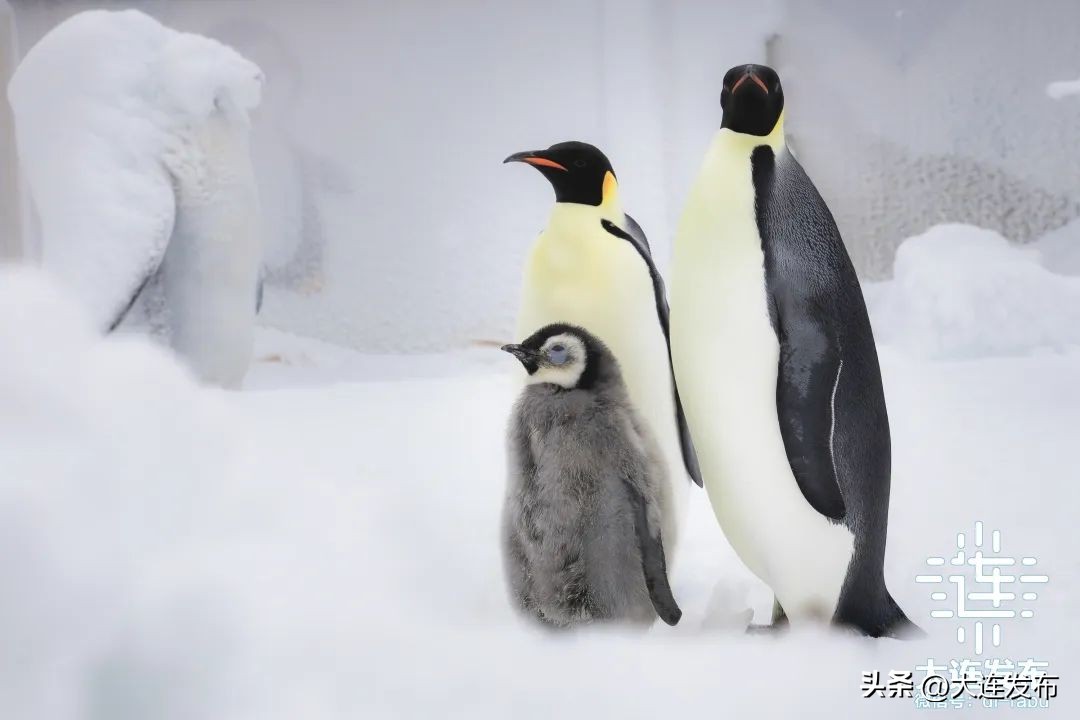 假期该怎么玩,假期怎样玩才好玩