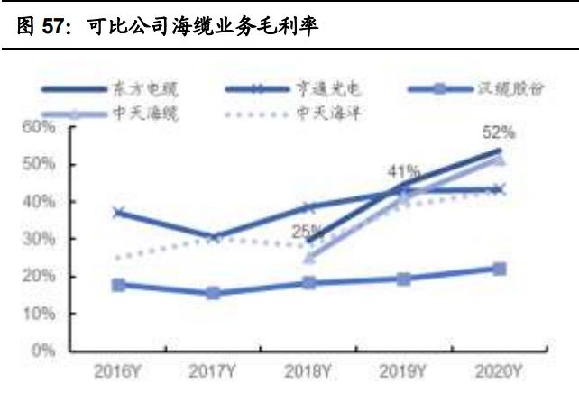中天科技研究报告：海缆龙头企业，光储业务加速