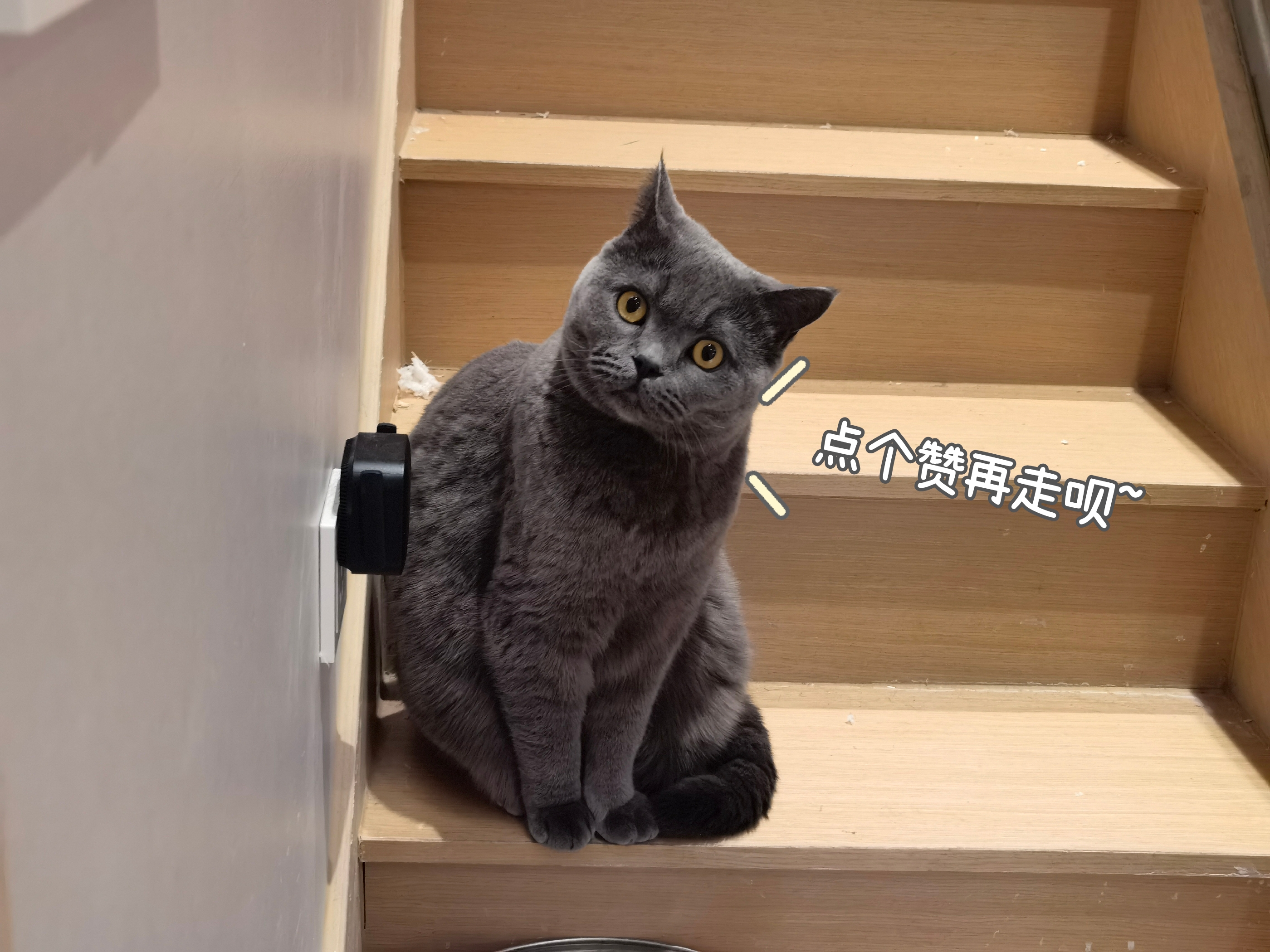 办公软件office免费教程网站,免费办公软件office教程