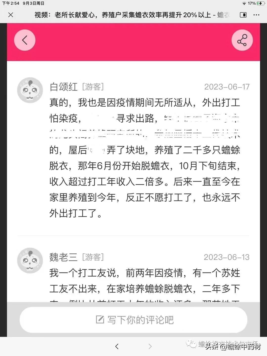 现在蟾蜍养殖前景如何,2023年蟾衣行情