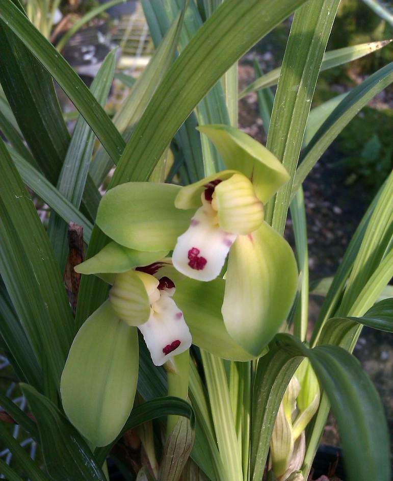 部门办公用品管理办法,办公用品管理办法细则范本文库