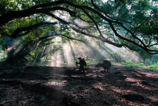 四本权谋流历史小说,三本细节经得起推敲的历史小说