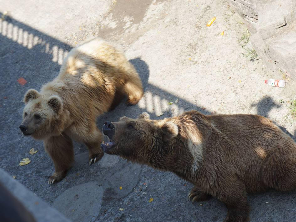 七言对联谜语大全图片及答案,与数字有关的古诗词对联谜语