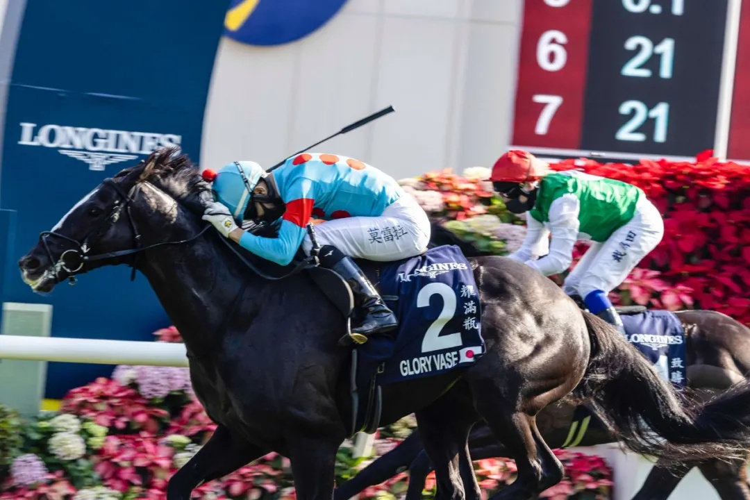 单日投注额17.28亿：1亿港元奖金香港国际赛事落幕