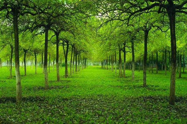 少年花季-少年暑假快乐事，青春如此美丽，少年快乐如此纯洁简单