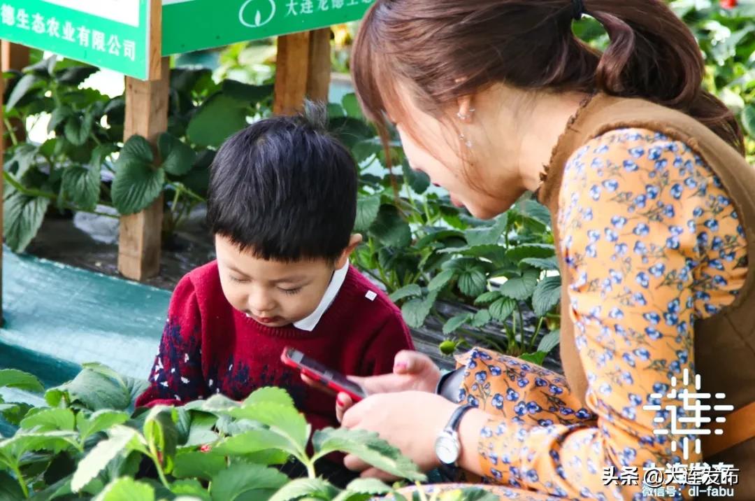 寒假不睡懒觉,寒假不补课就在家玩
