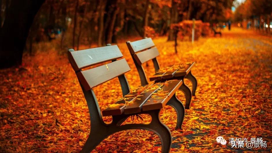 自己只管努力其他一切顺其自然,你只管做自己一切都是最好的安排