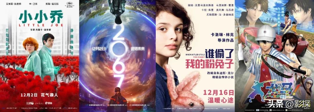 年底压轴王炸来袭莱昂纳多,年底收官王炸最后一天