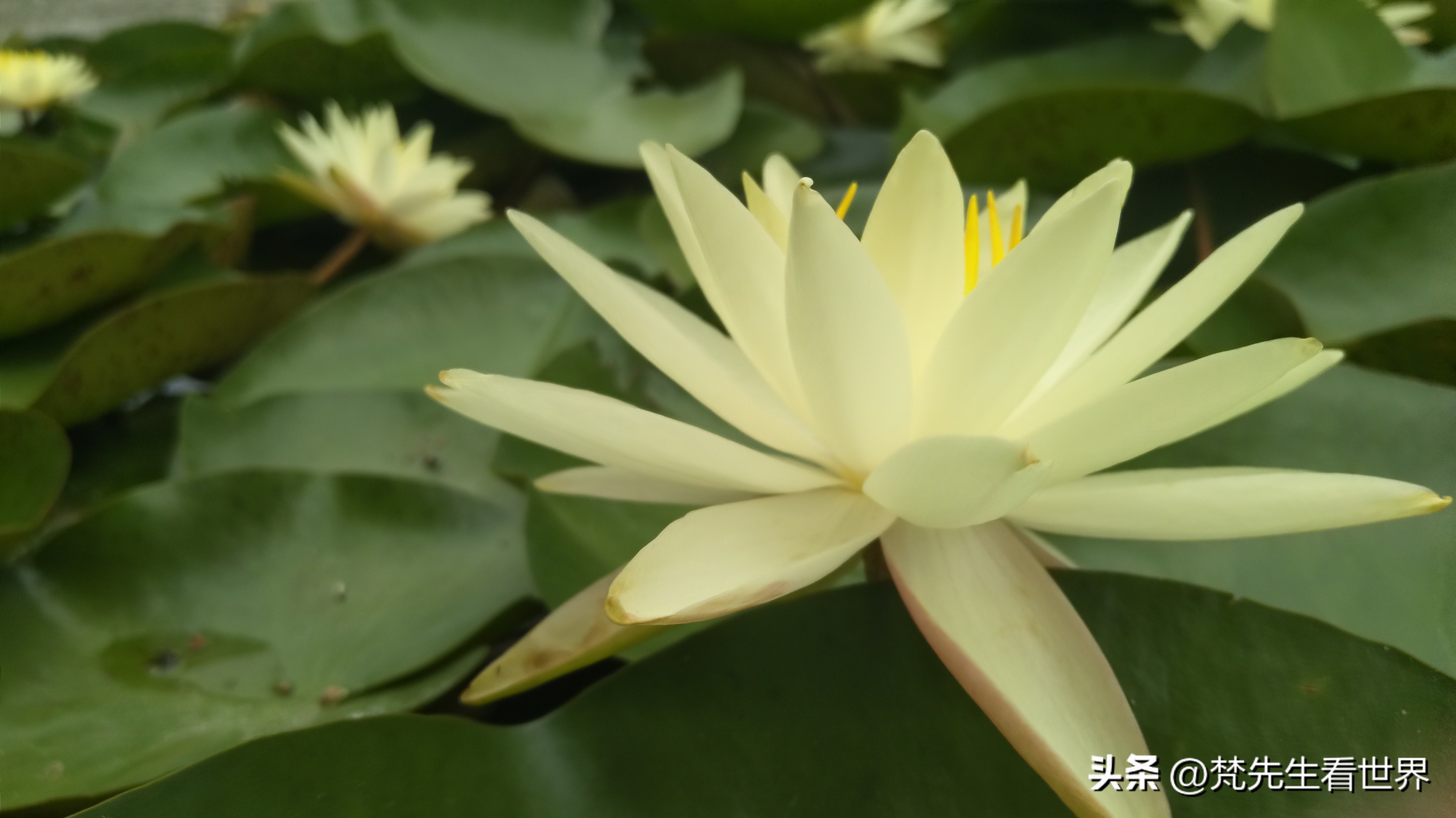 中国人压力越来越大幸福感在哪里,现代人的幸福感为什么越来越少