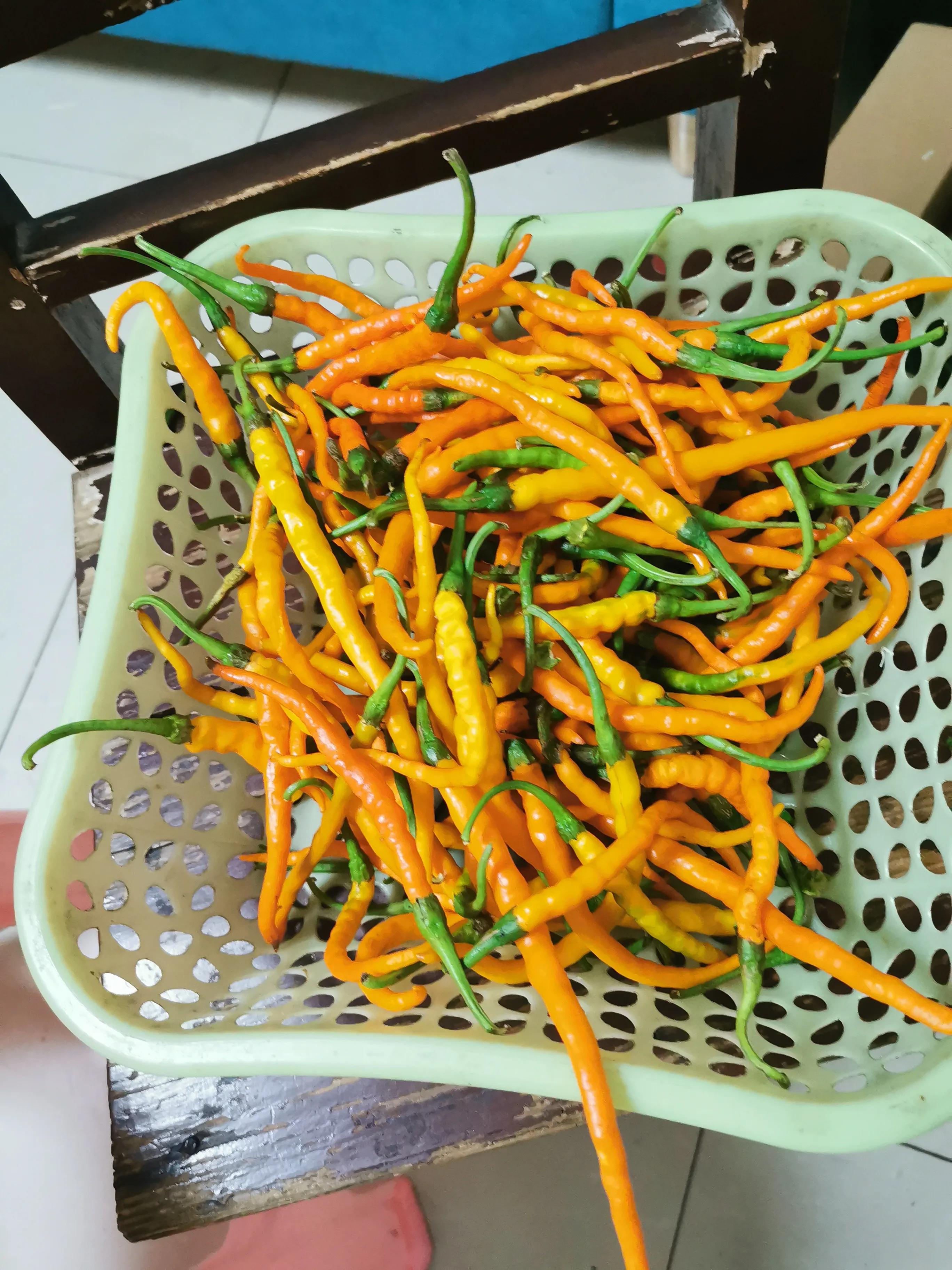 灵魂佐料的做法,灵魂浇汁做法