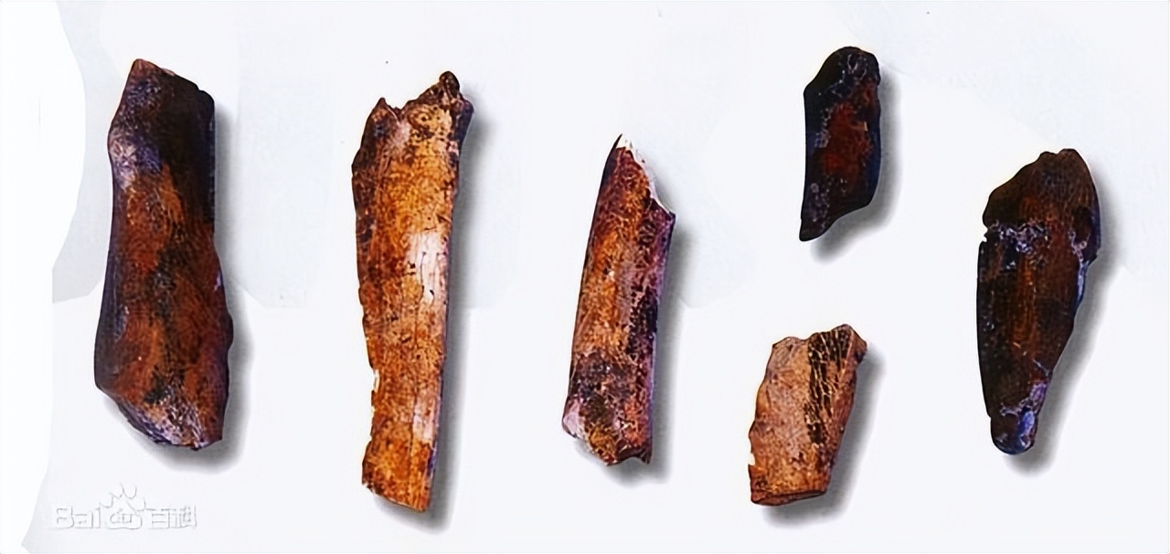 河南周口市山顶洞人遗址,中国最原始的山顶洞人