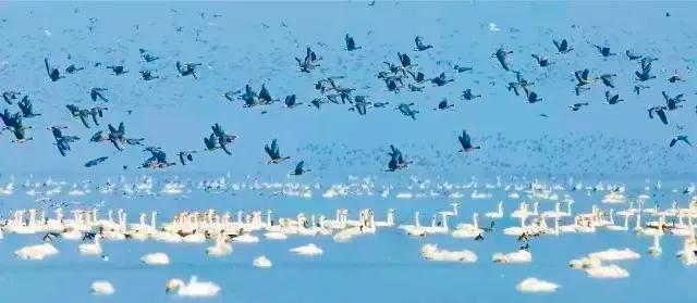 和大自然一起去旅行,和地理老师一起去旅行