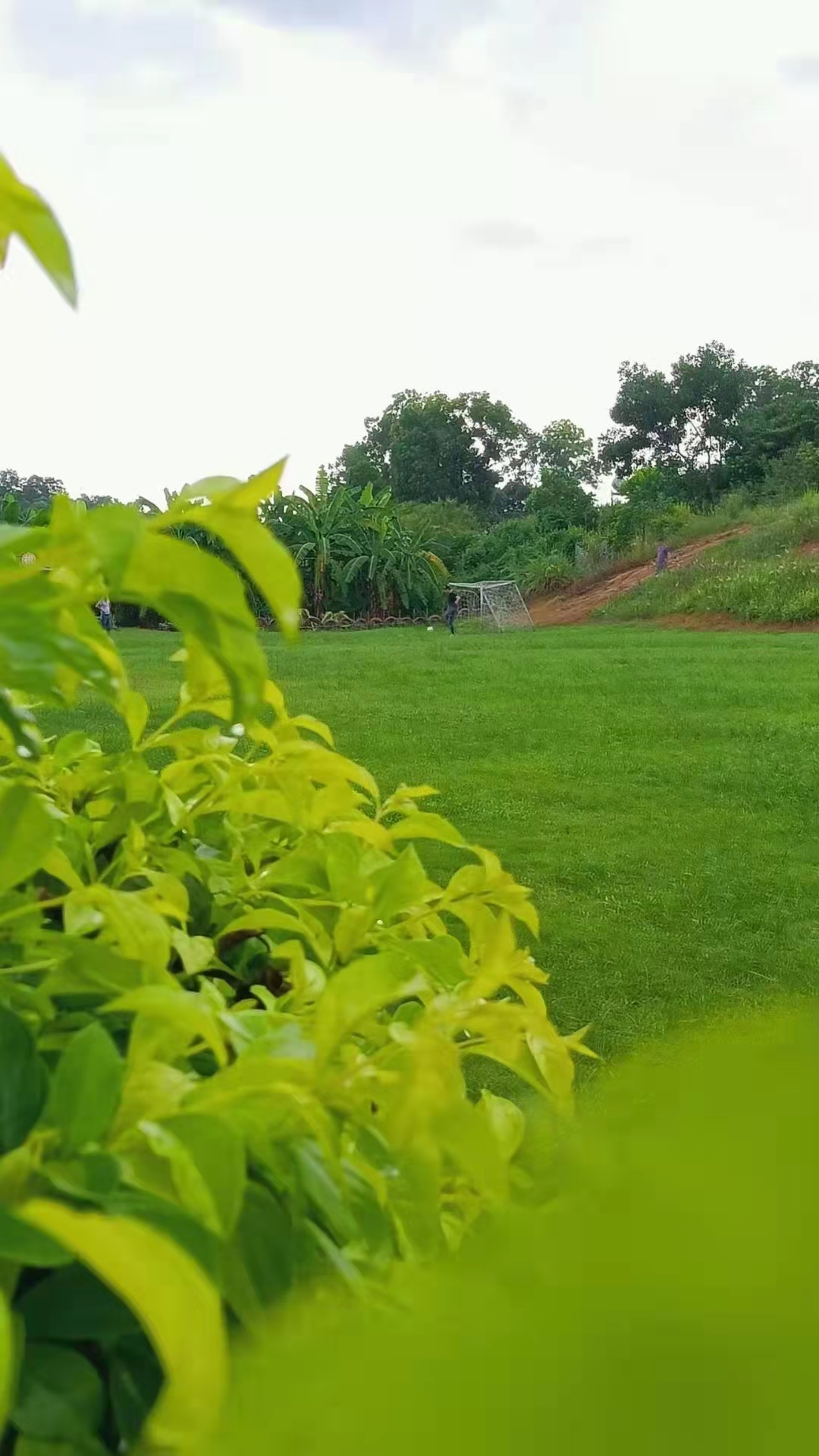 深圳年会演出策划哪家好,深圳公司年会策划推荐