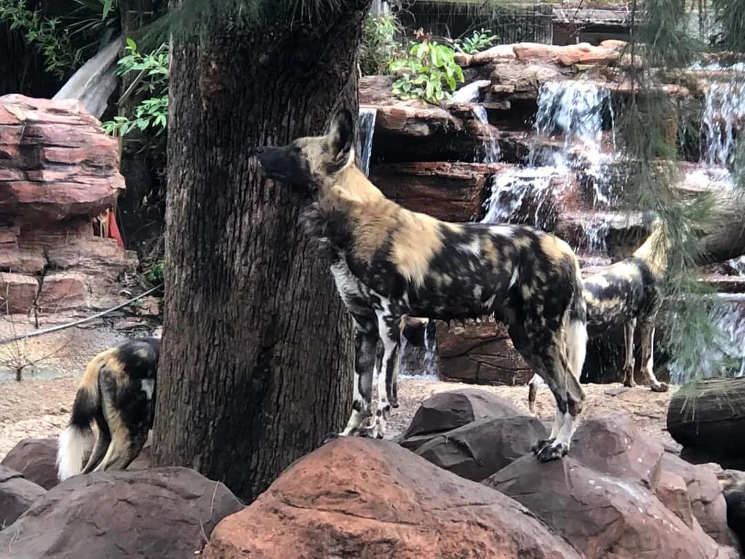 危地马拉的著名风景,危地马拉的首都游玩