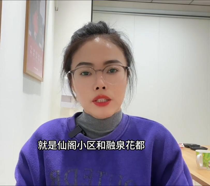 讲一讲长兴路梅岭山区的楼盘