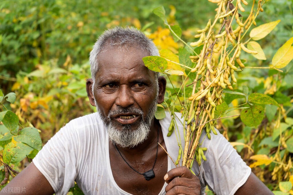 nba有哪些黄种人,黄种人在nba总得分排行榜