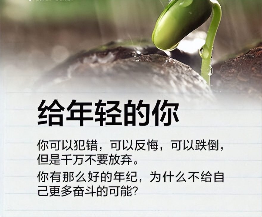 网贷/信用卡逾期怎么办，我用5年亲身经历告诉你......