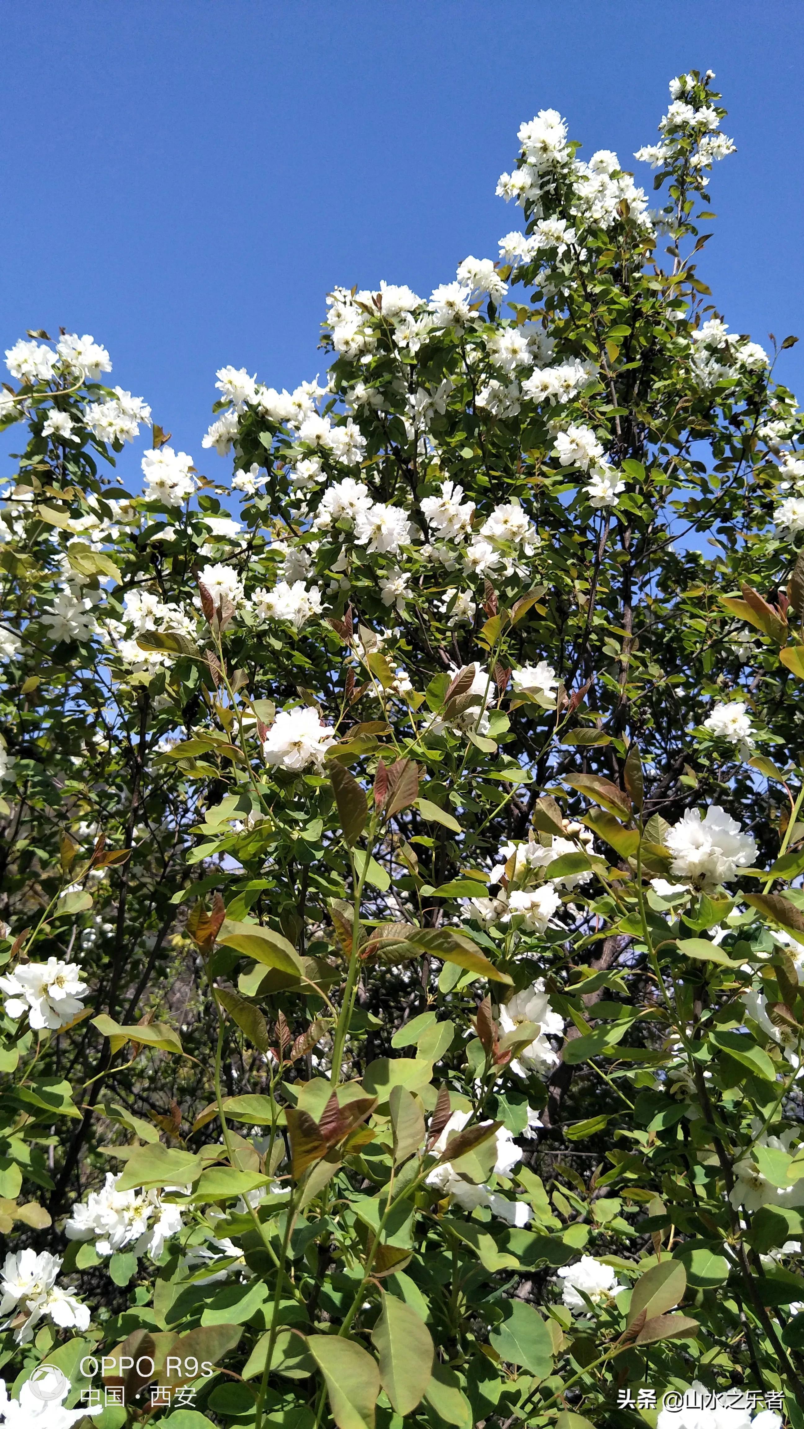 大峪穿越嘉午台,大峪穿越终南山