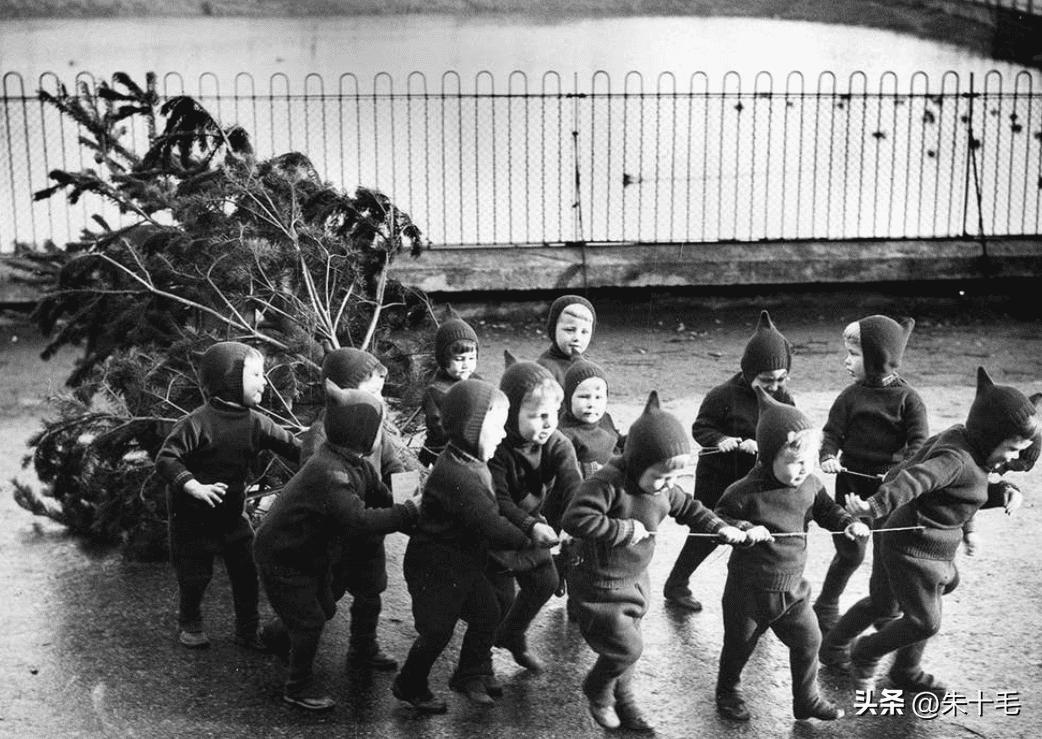 日本军日记：部下玷污了花姑娘，她在夜晚用剪刀愤怒剪断皇军*体下**