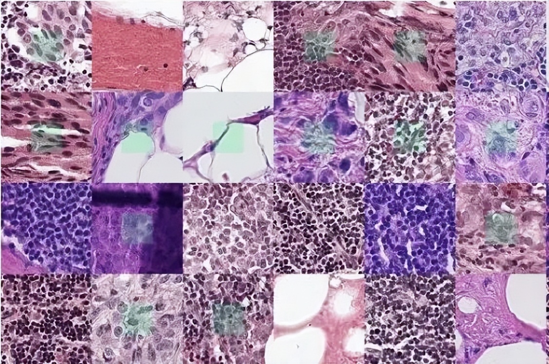 目标检测数据集采集,目标检测图像数据集