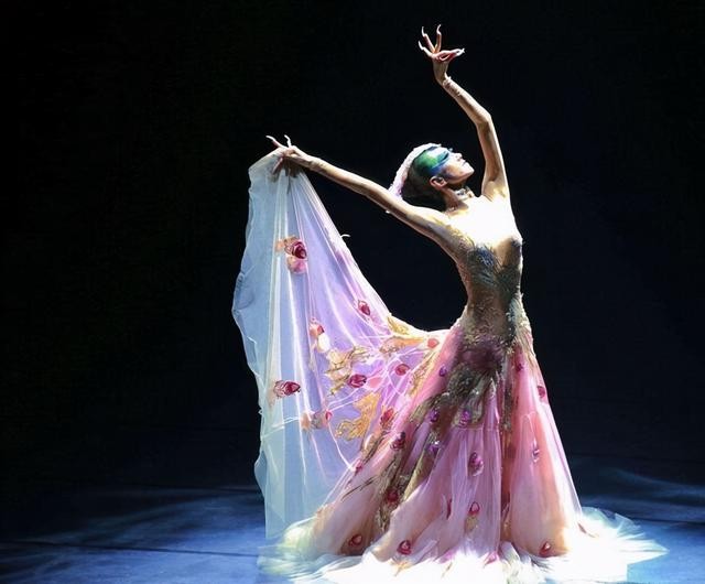 杨丽萍单身经历,杨丽萍自述不结婚原因