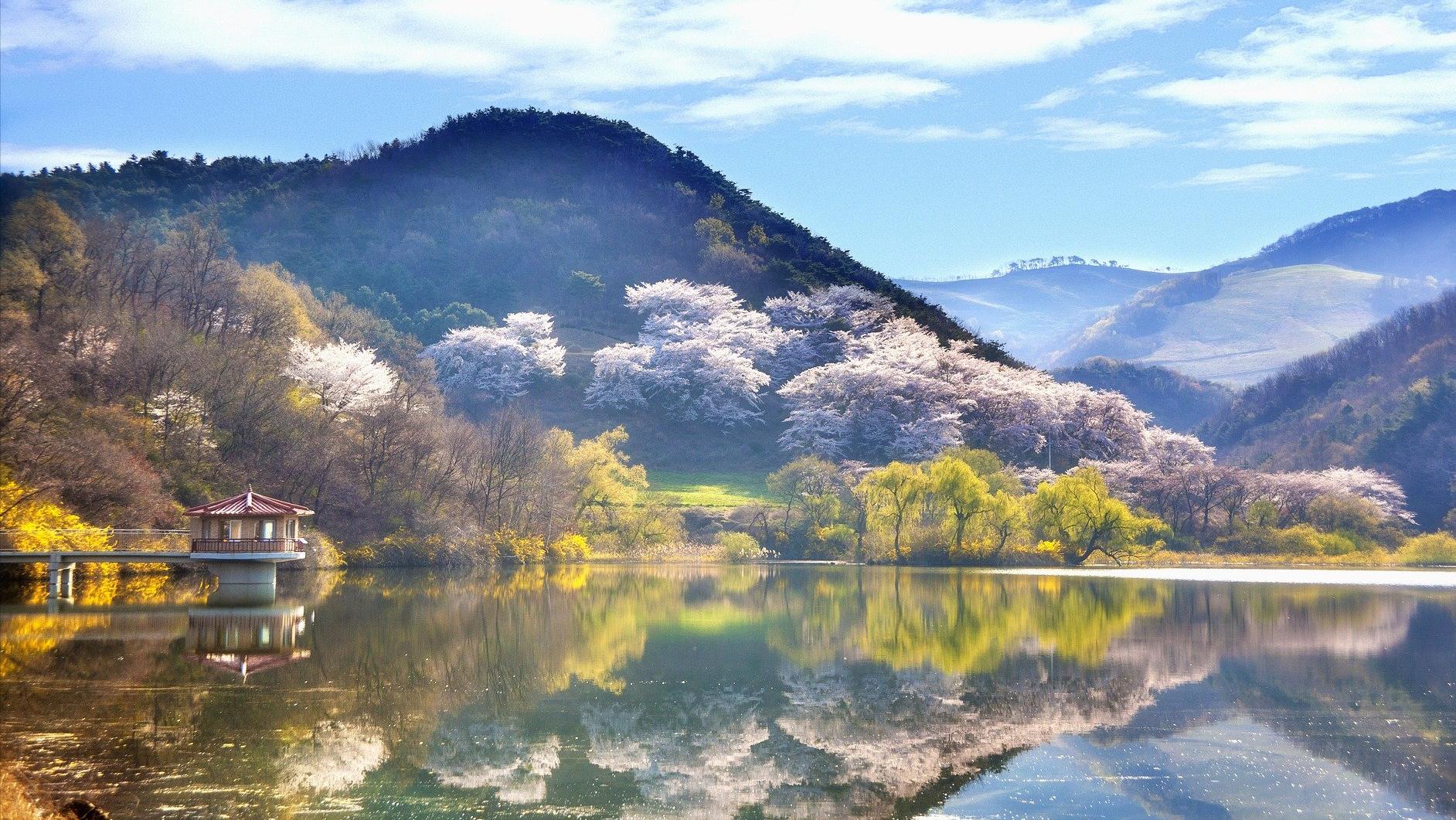 关于春天的100首经典诗词,十首诗词最懂春天的美