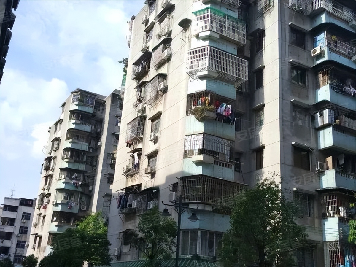 粤剧、醒狮、武术、科技……TA有39个宝藏社团？