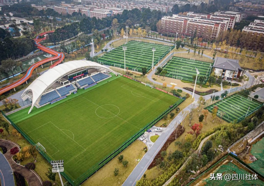 2022中国飞盘联赛总决赛杭州,2022首届中国飞盘联赛