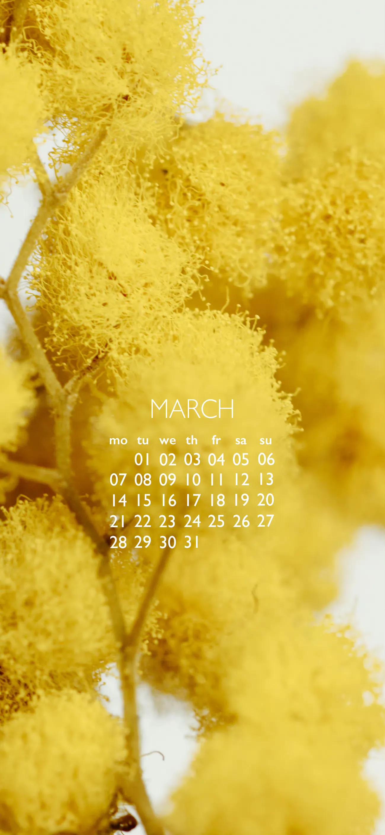 三月日历壁纸电脑,三月日历锁屏