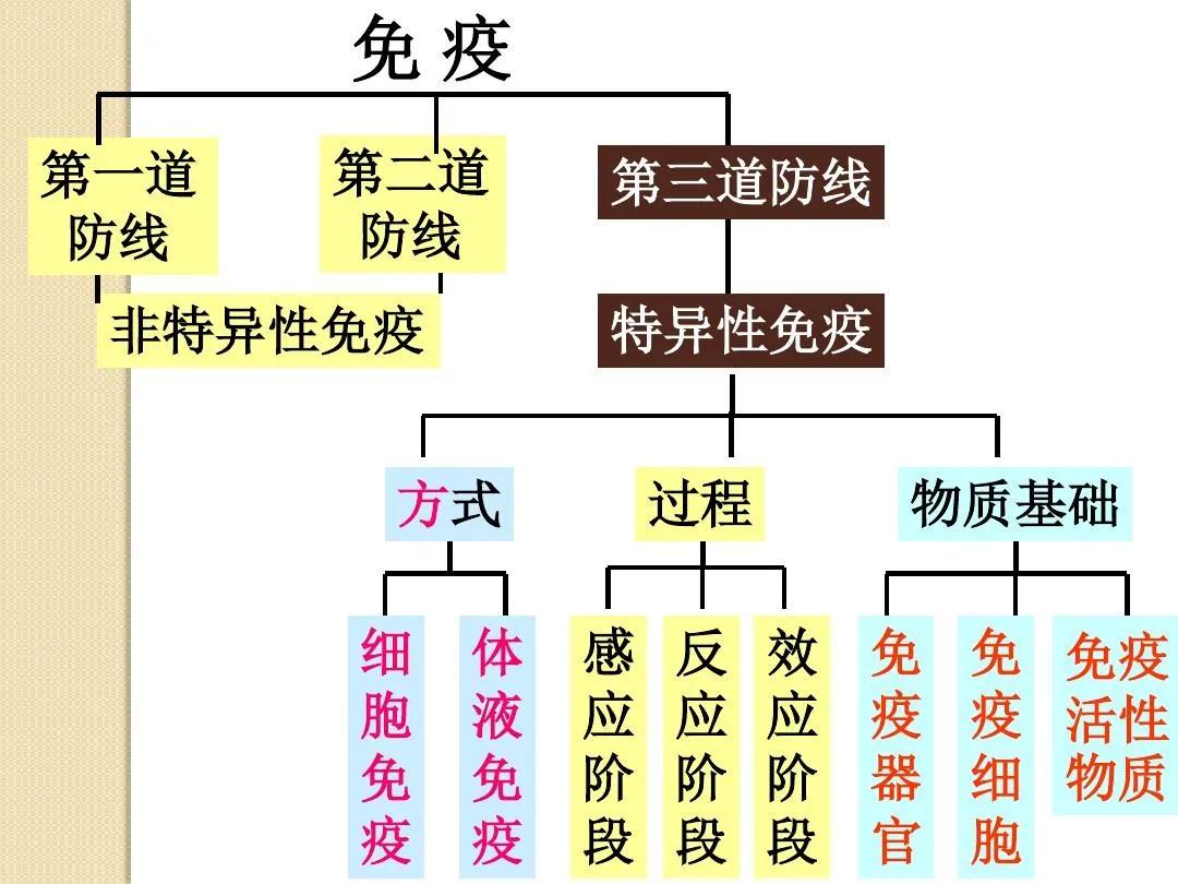 脐带血小知识,不要再被割韭菜了小红书