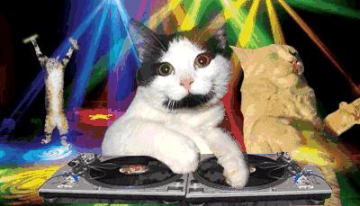 混油皮遮瑕力强不脱妆粉底液测评,油皮持久不暗沉遮瑕的粉底液测评