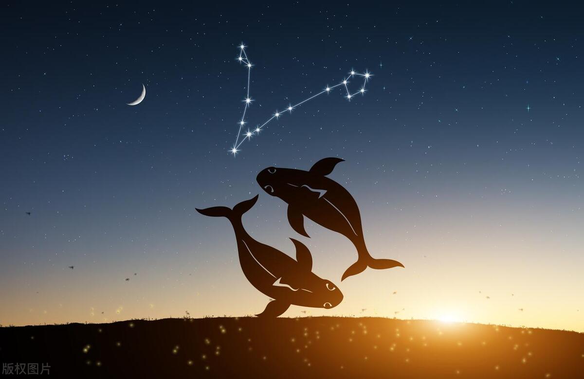 十二星座在职场上的表现,十二星座职场分析