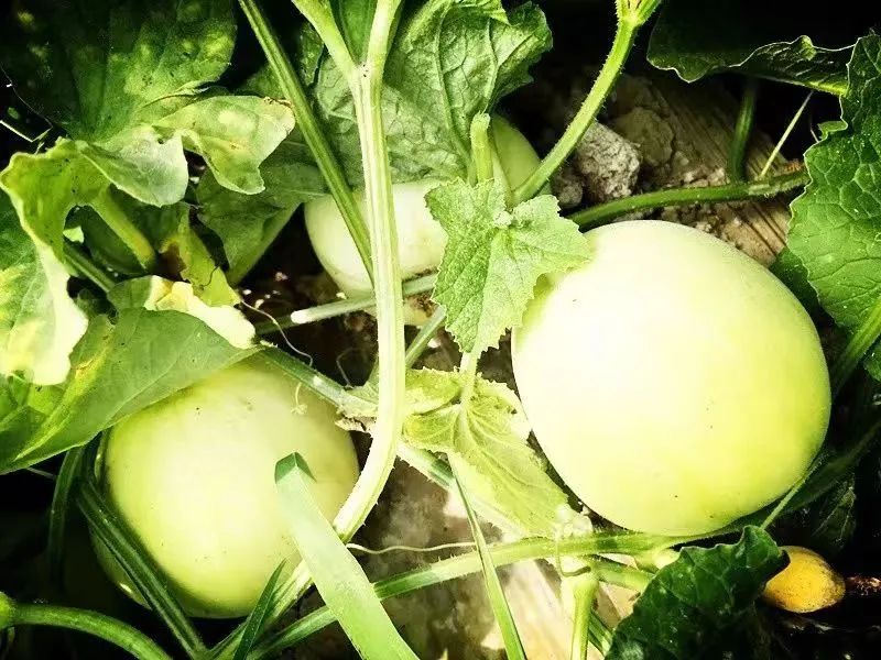 走进泾川吴焕先烈士纪念馆,平凉吴焕先