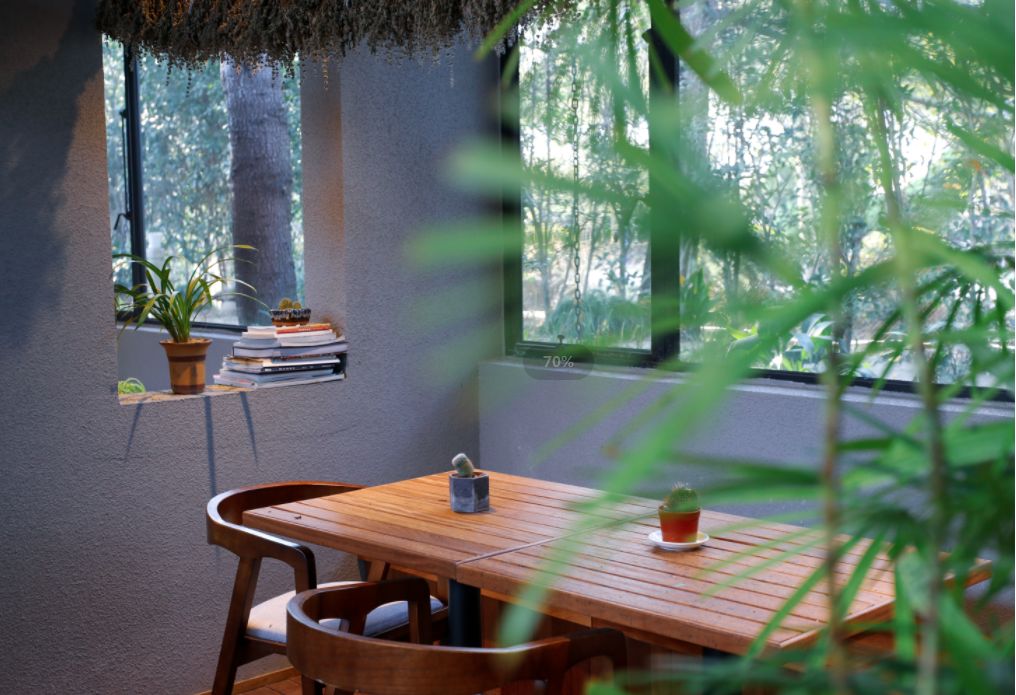 心动！那些藏在崇明民宿里的初秋小美好