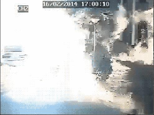 80张神奇偶然瞬间，环形闪电，海蛇和最毒石斑鱼互咬，骑骆驼拍照