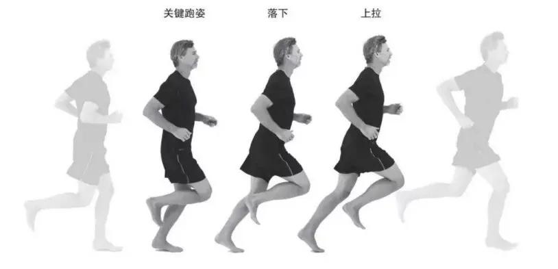 跑步长小腿肌肉吗,跑步长肌肉会不会变重