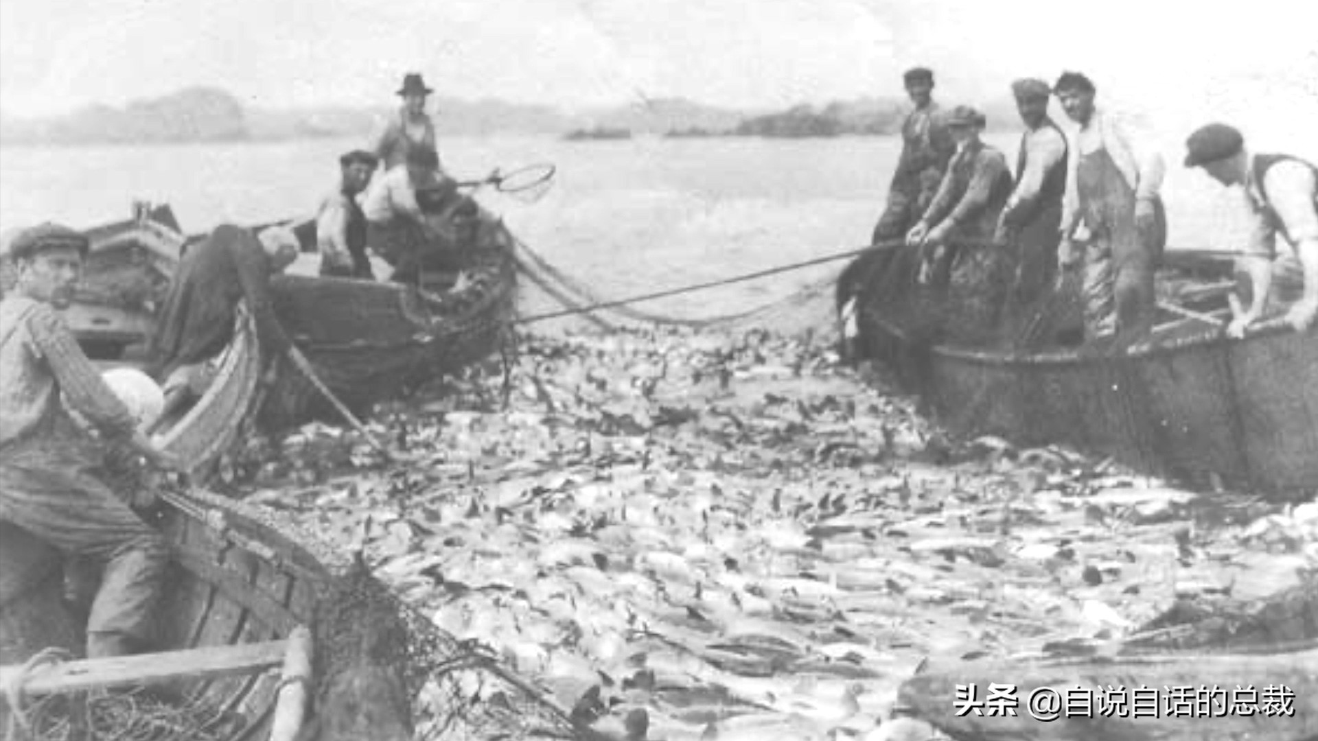 为什么买的鳕鱼段都是粘液,为什么买的鳕鱼那么多水