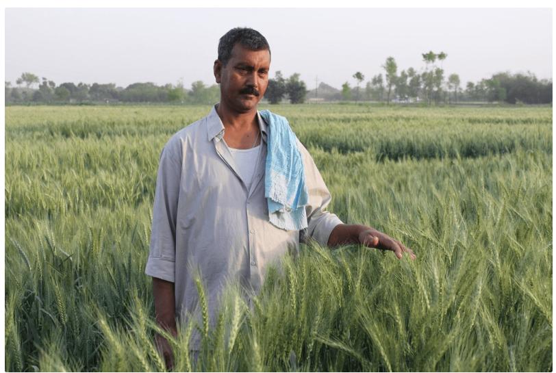 印度是怎样养活10亿人的,印度怎么养活18亿人