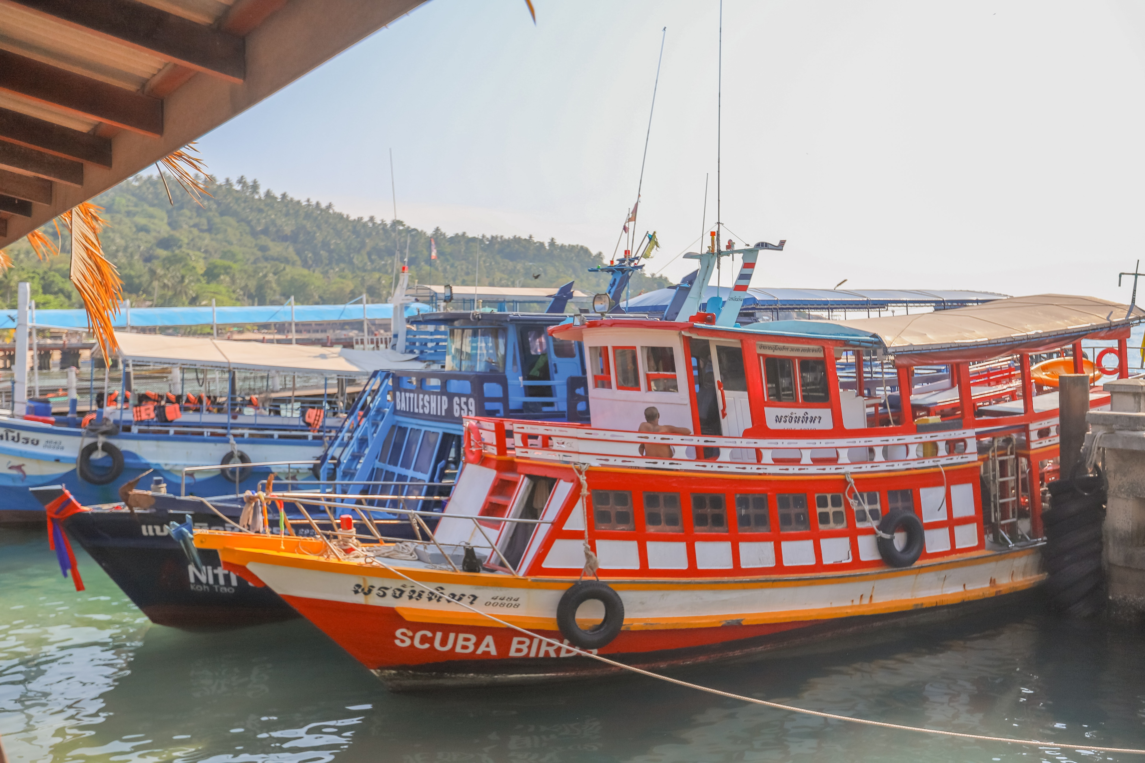 泰国涛岛潜水最佳时间,泰国涛岛旅游路线