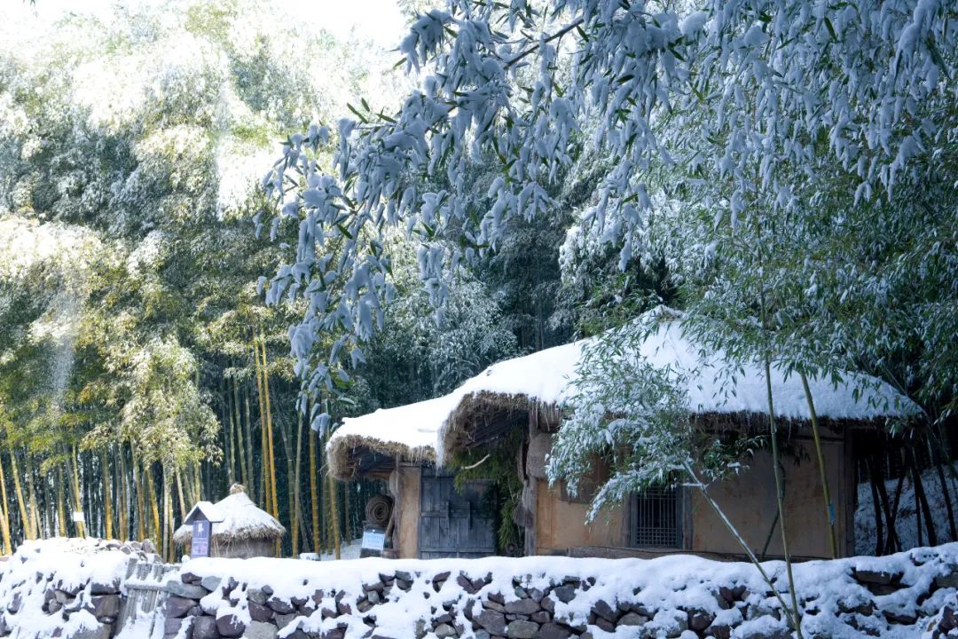 冬日诗词里雪的十种美,36首冬雪诗词带你感受冬日的雪