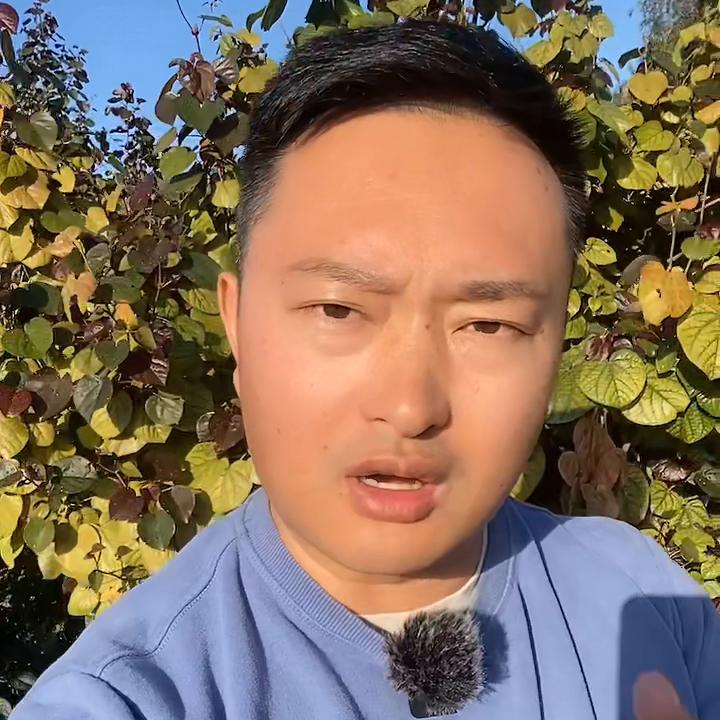 为什么中国的“差生”，来个澳洲会变成优秀学生？你不知道...