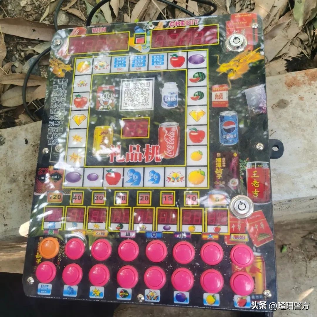 桃江警方捣毁聚众赌博案,最新隆阳警方抓赌行动