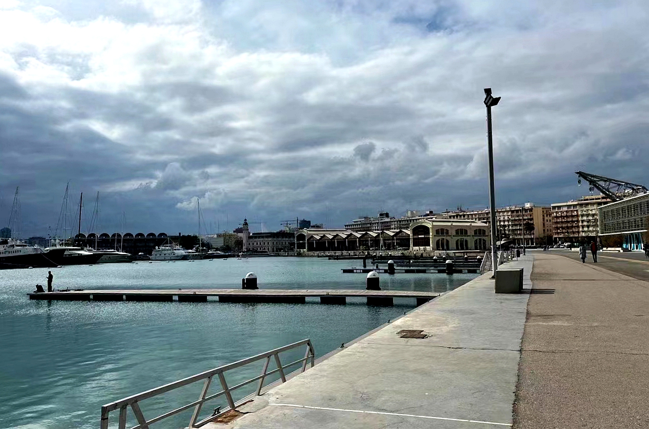 彩色旅图·西欧纪行｜瓦伦西亚的情人节，小贩在饭店外面卖鲜花