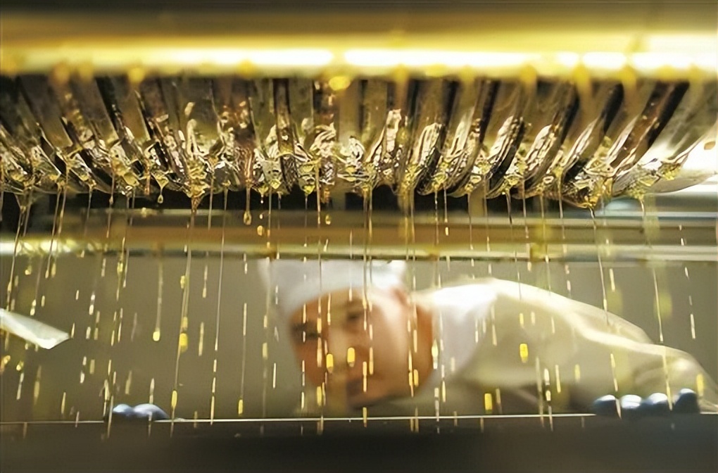 中国第一油茶产业,最好的油茶产业