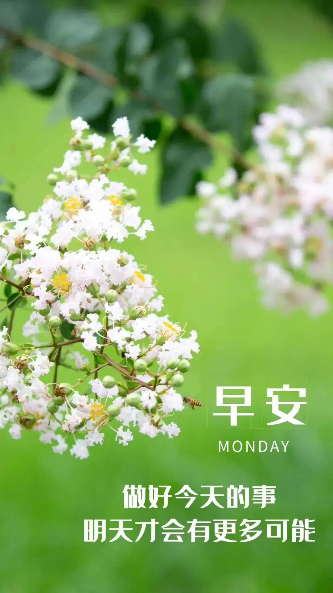 乙木命2023年癸卯年运势怎样,农历2023年癸卯年正月结婚吉日